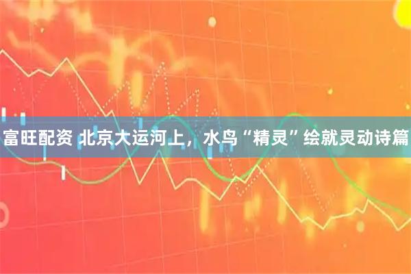 富旺配资 北京大运河上，水鸟“精灵”绘就灵动诗篇