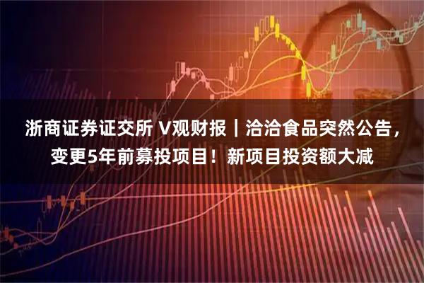 浙商证券证交所 V观财报｜洽洽食品突然公告，变更5年前募投项目！新项目投资额大减