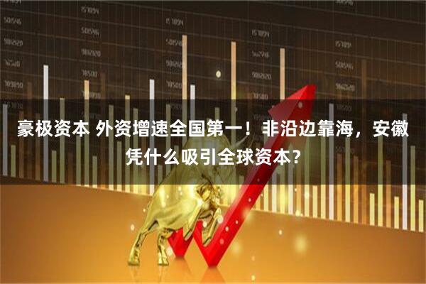 豪极资本 外资增速全国第一！非沿边靠海，安徽凭什么吸引全球资本？