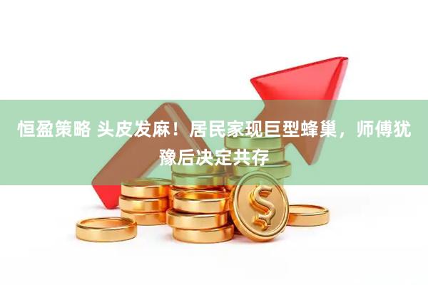 恒盈策略 头皮发麻！居民家现巨型蜂巢，师傅犹豫后决定共存