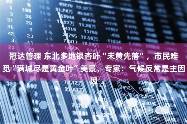 冠达管理 东北多地银杏叶“未黄先落”，市民难觅“满城尽是黄金叶”美景，专家：气候反常是主因