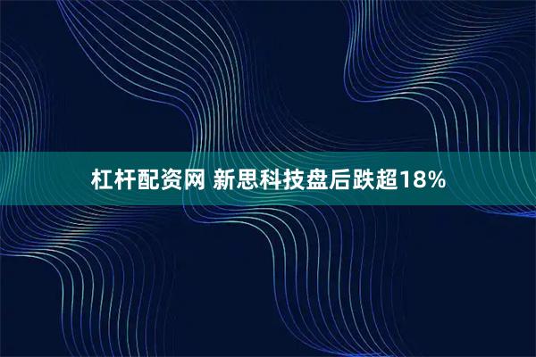 杠杆配资网 新思科技盘后跌超18%